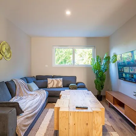 Appartement Grand Plain Pied Proche Europa Park Saasenheim