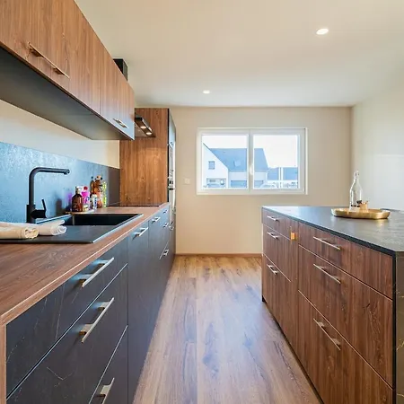 Appartement Grand Plain Pied Proche Europa Park